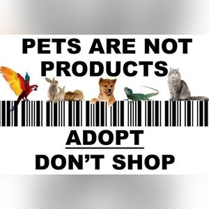 All Sales Go To Fostering Animals